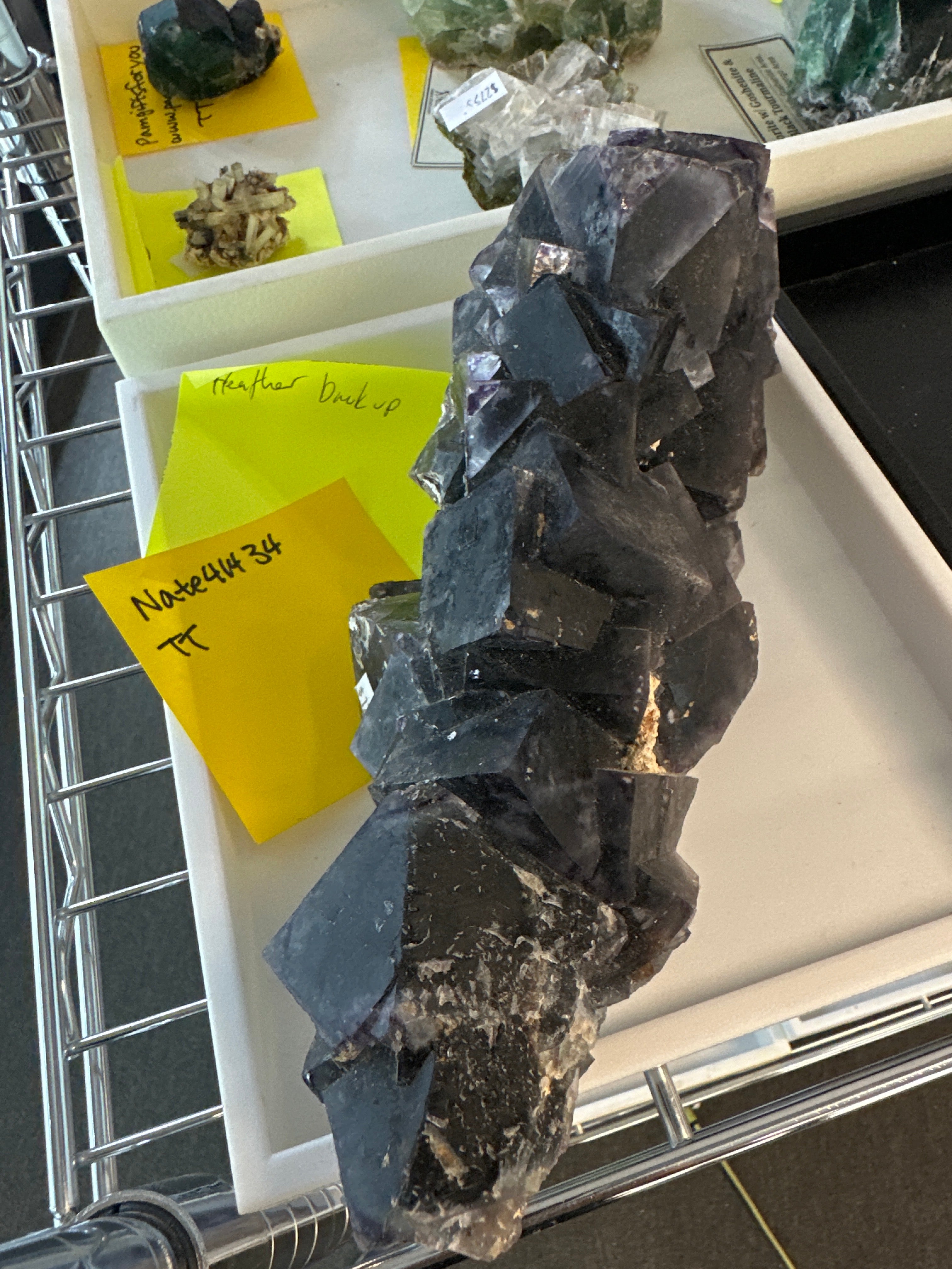 @Nate41434 TT 🇨🇦