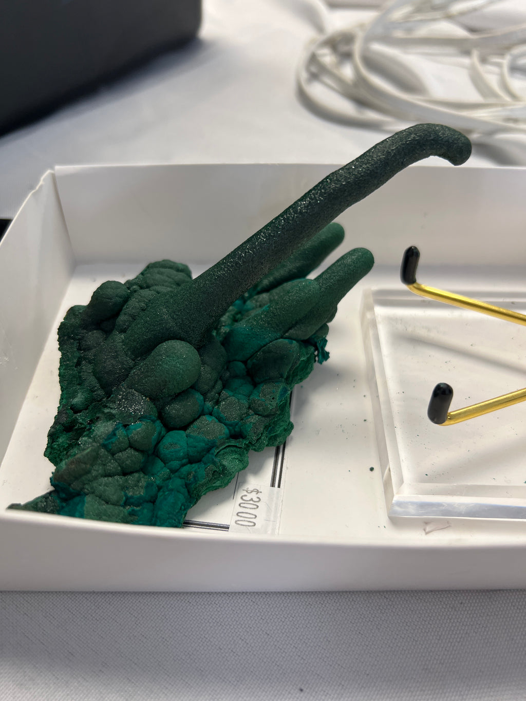 @cretaceousartifacts TT