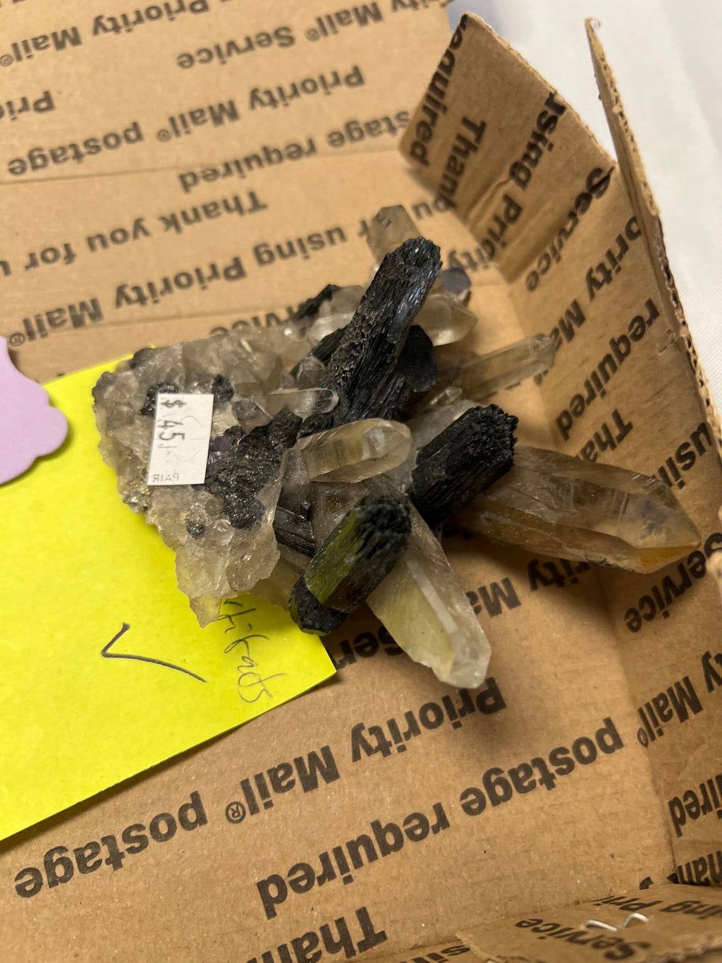 @cretaceousartifacts TT