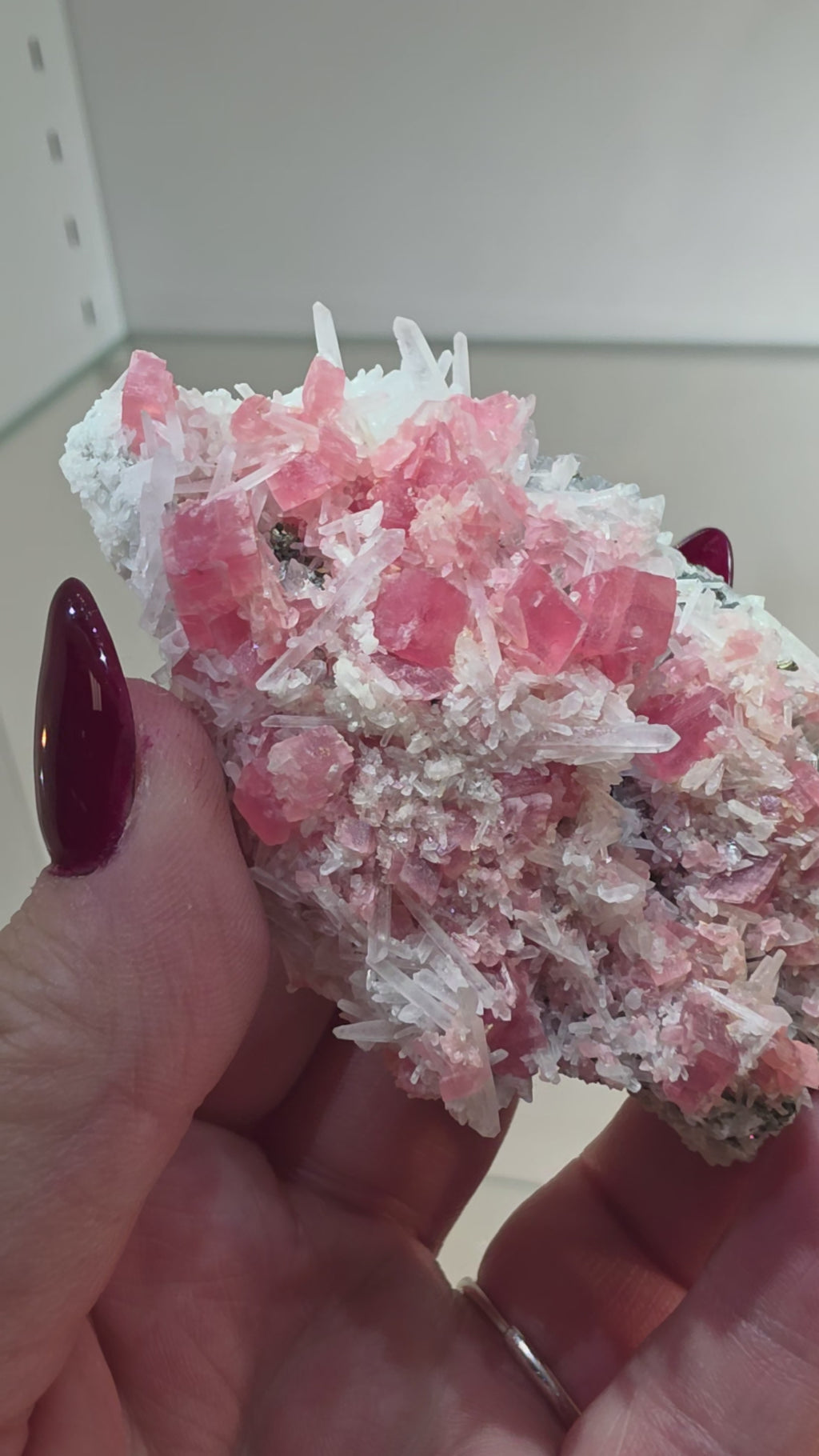 @neeko Mineral Nexus June 19