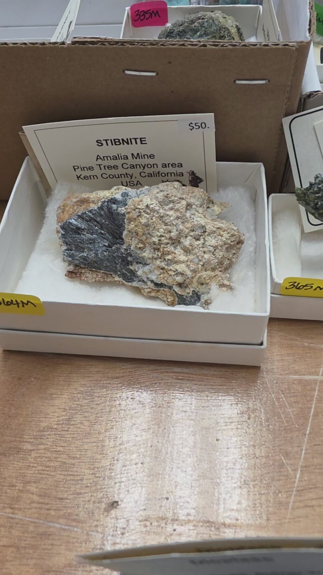 @annette Mineral Nexus June 20