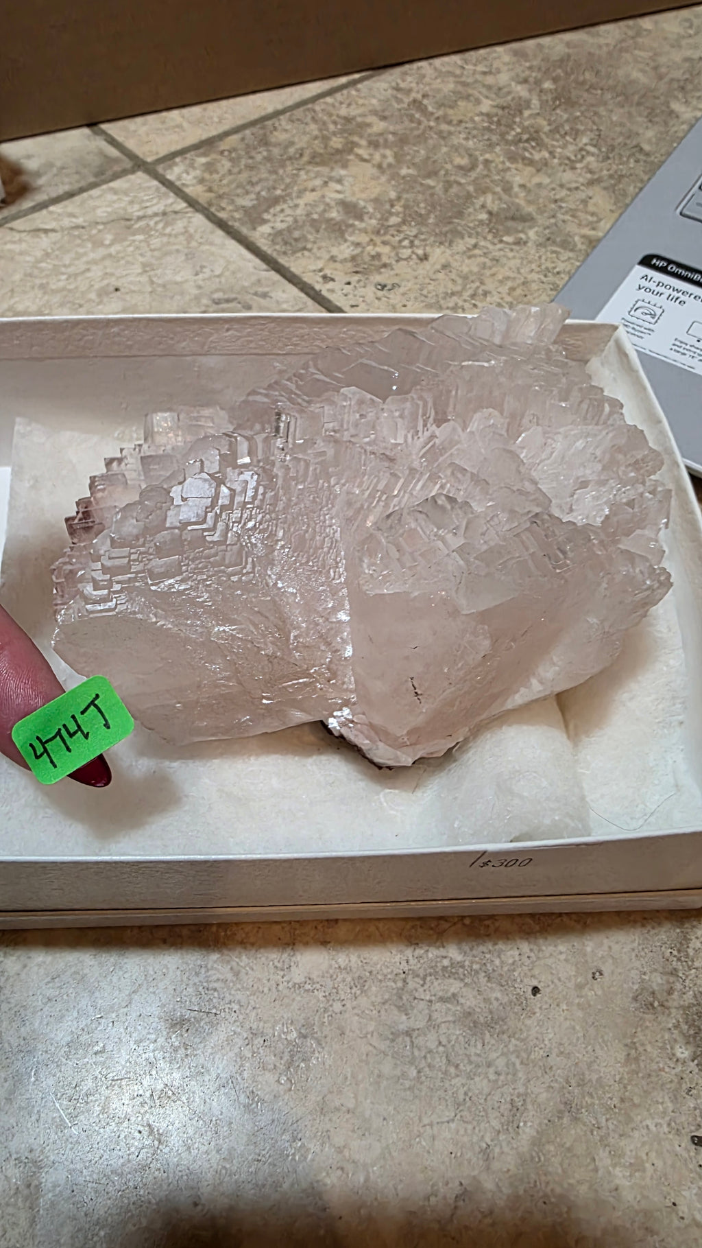 KricketLee Mystery Tucson June 24