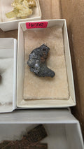 @cretaceous artifacts Rocky June 17