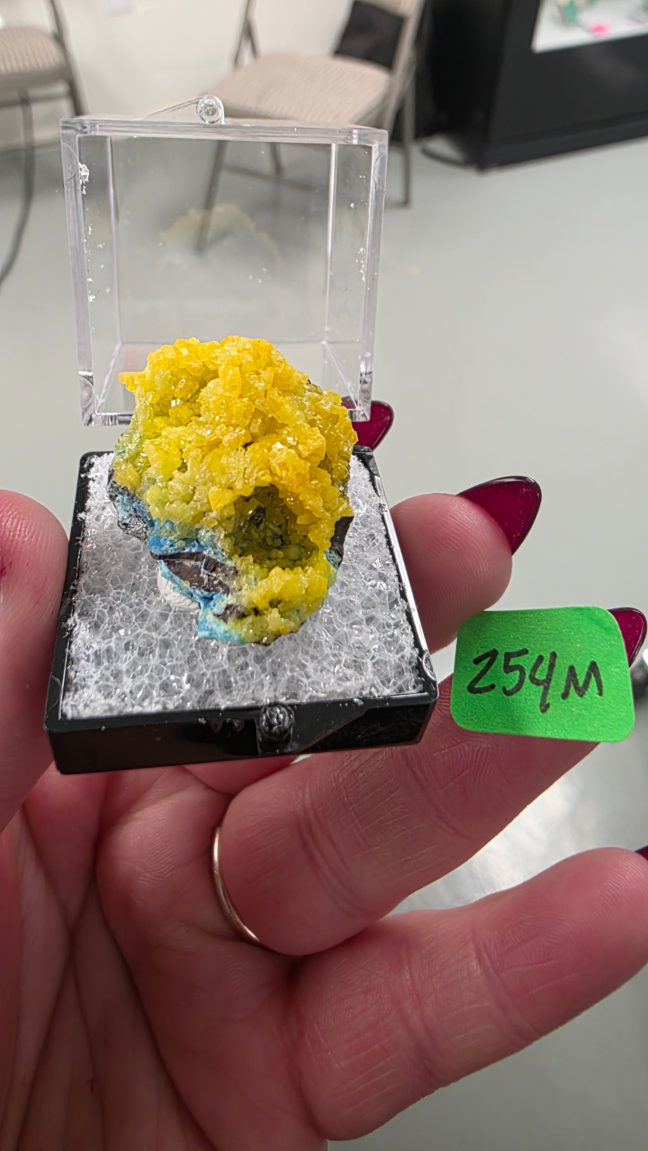 @Annette Mineral Nexus June 19