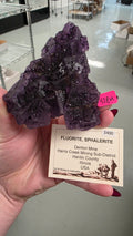 @Colorado Lover Mineral Nexus June 20