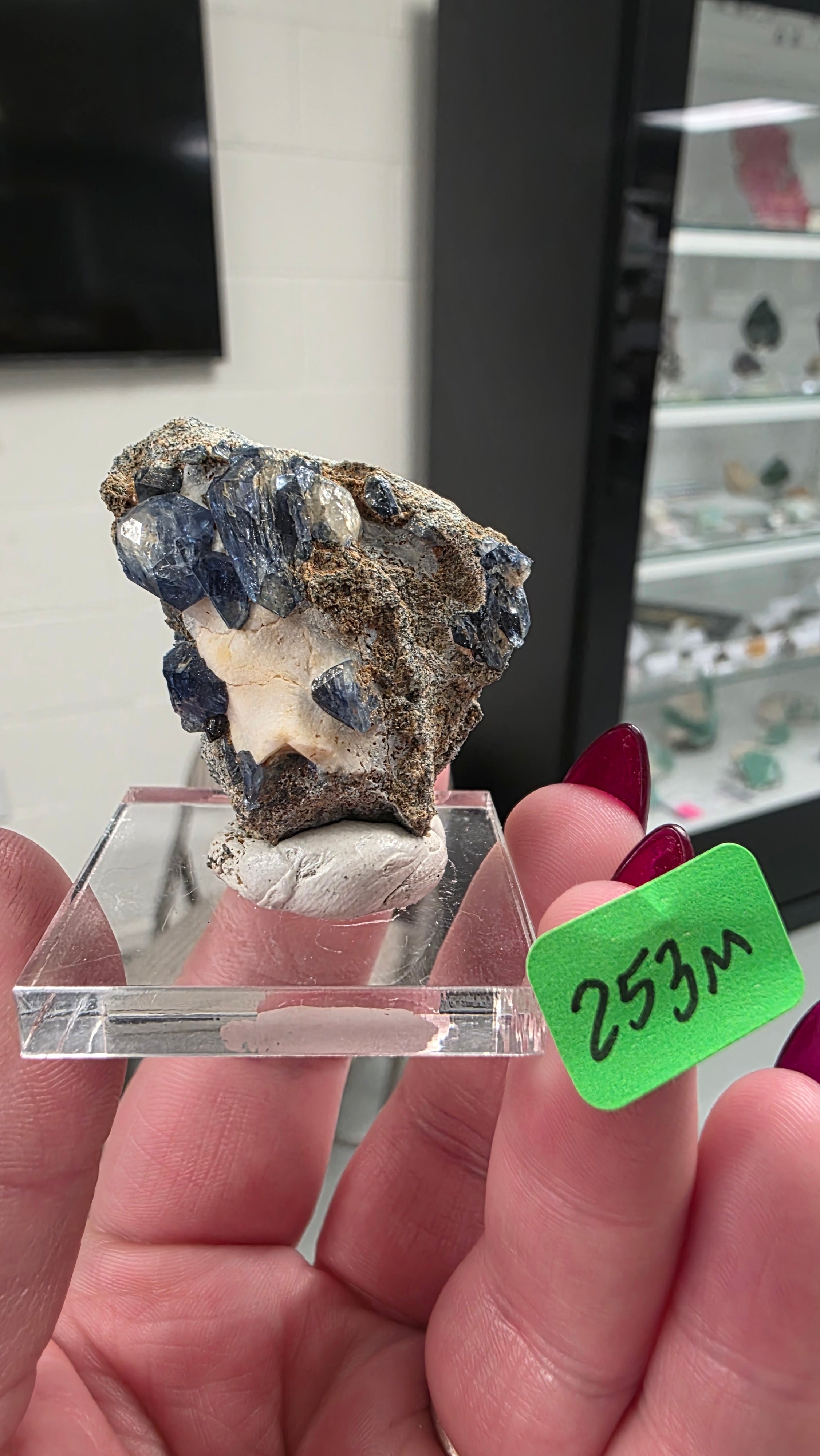 VineyardGay Mineral Nexus June 19