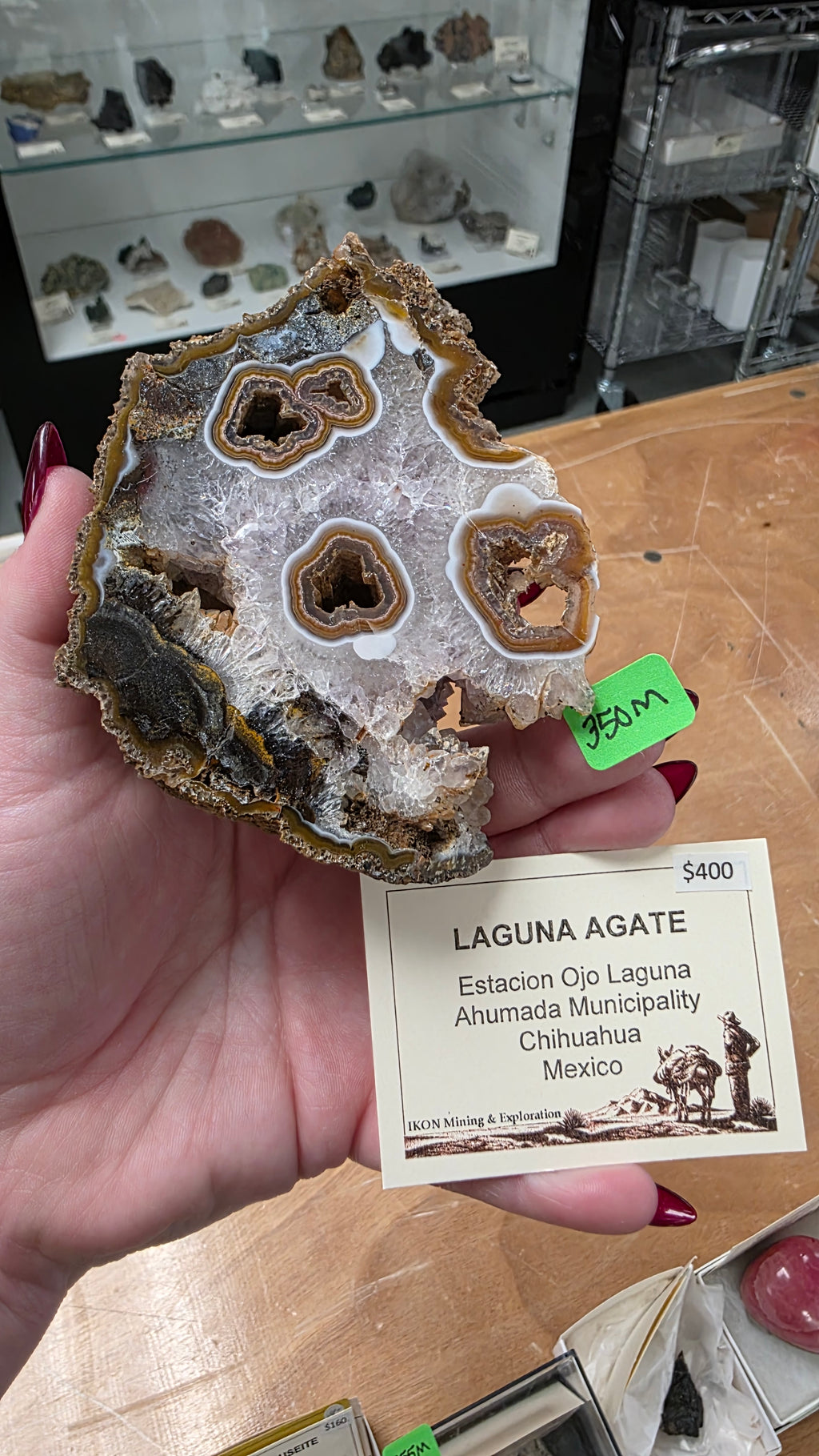 @Vineyardgay Mineral Nexus June 20