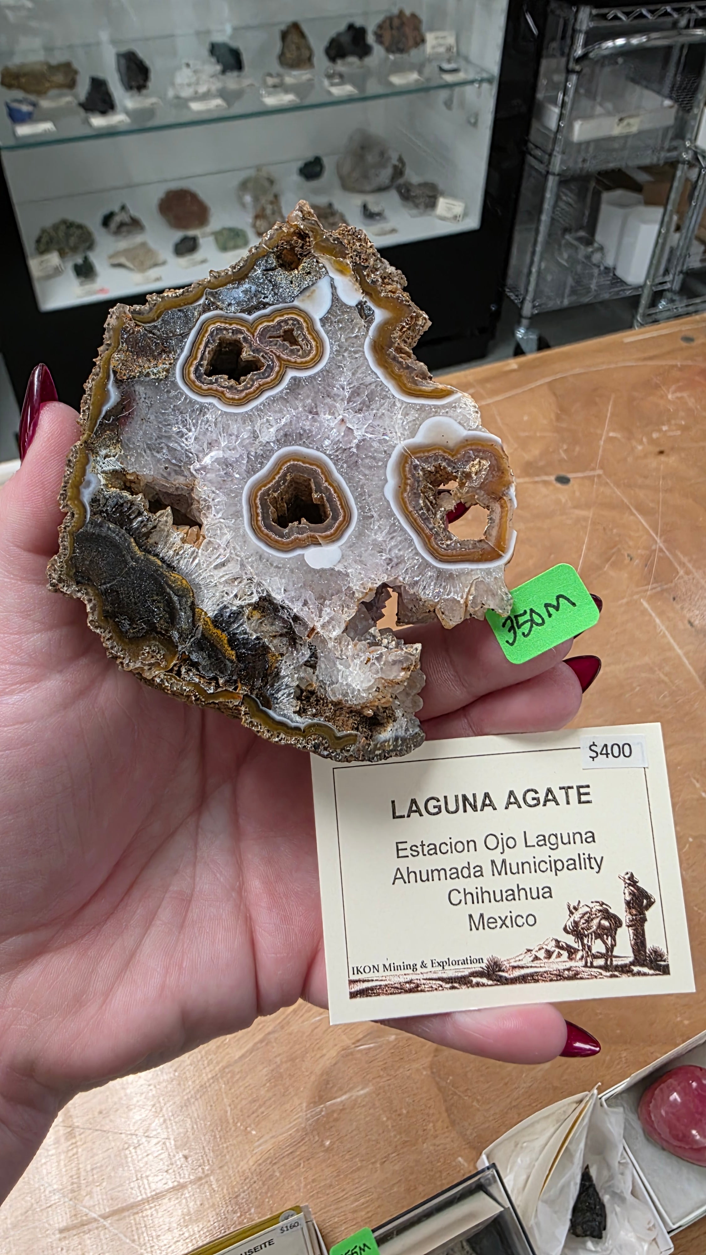 @Vineyardgay Mineral Nexus June 20