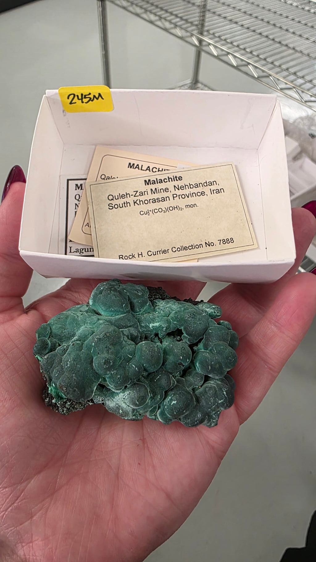 momsredkitchen Mineral Nexus June 19