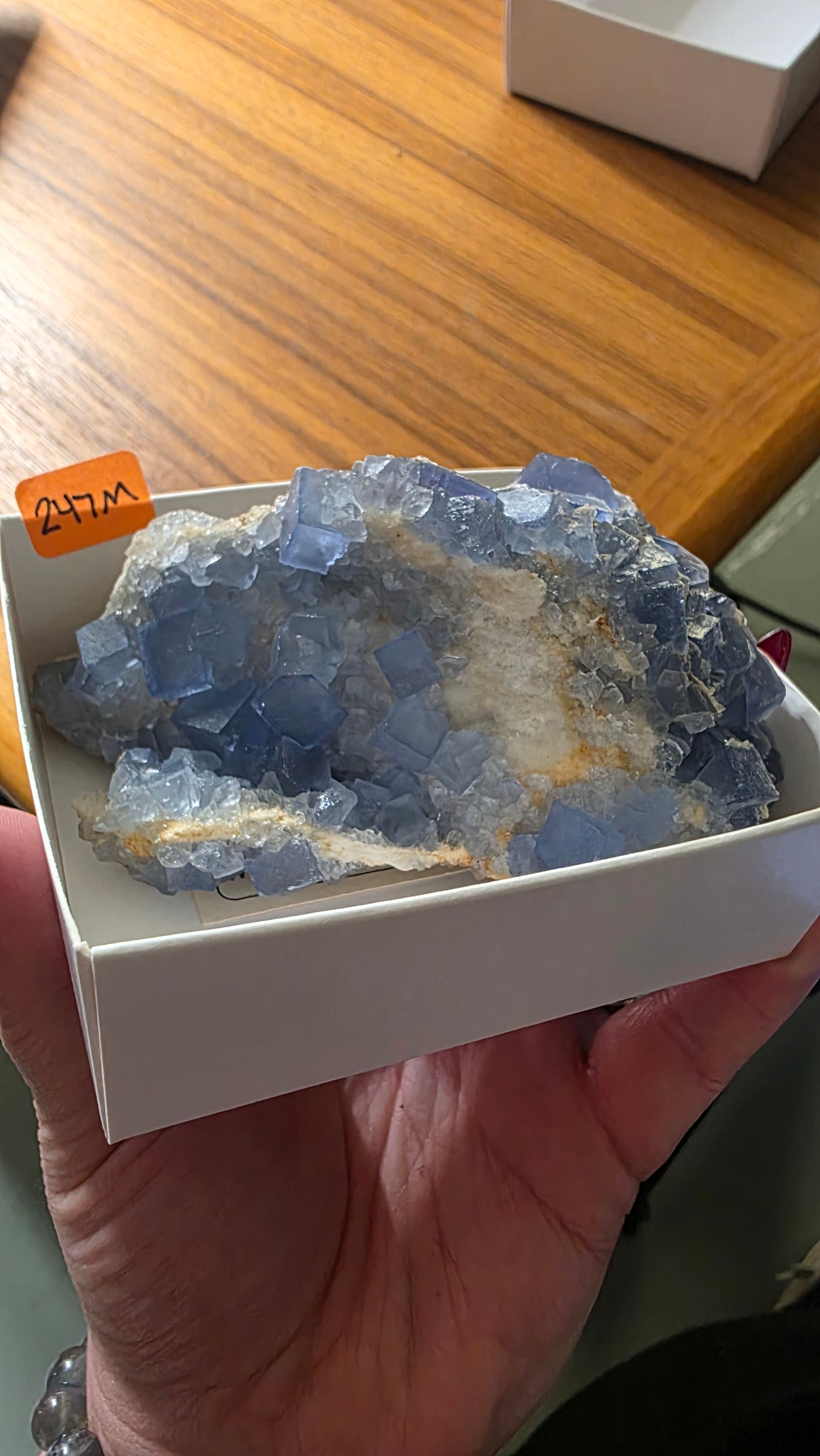 @cevremcampbell Mineral Nexus June 19