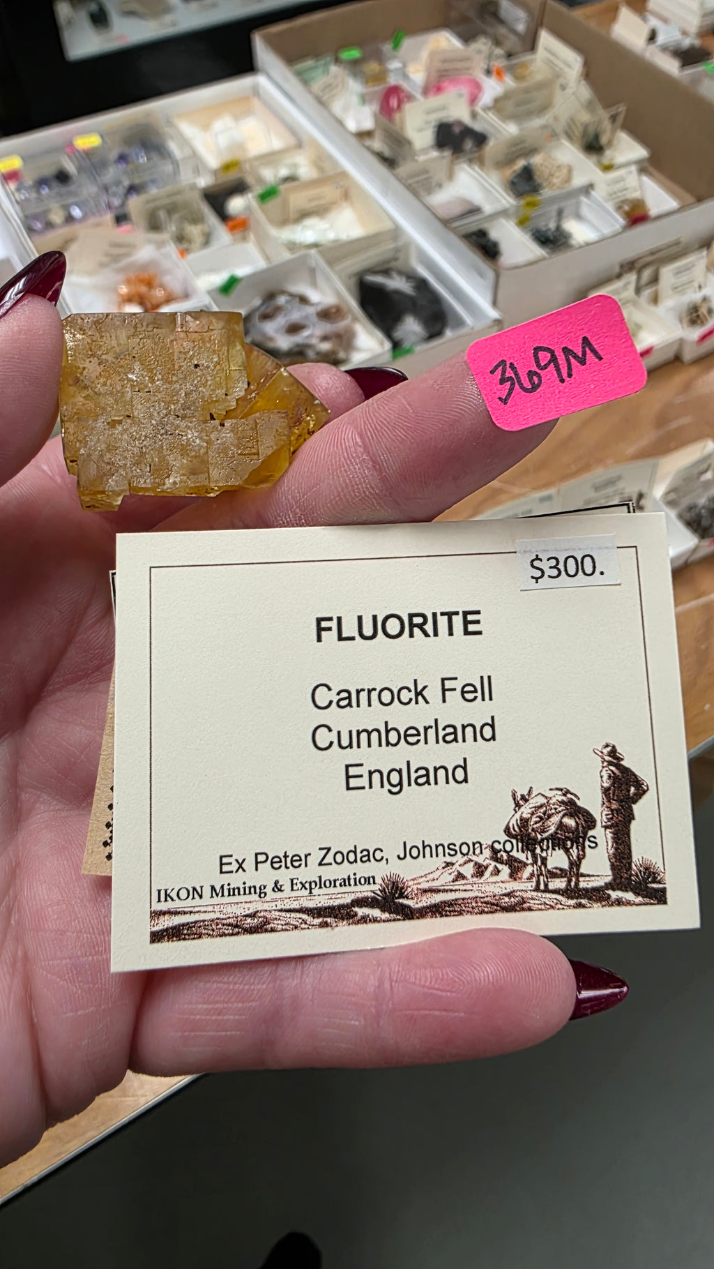@Vineyardgay Mineral Nexus June 20