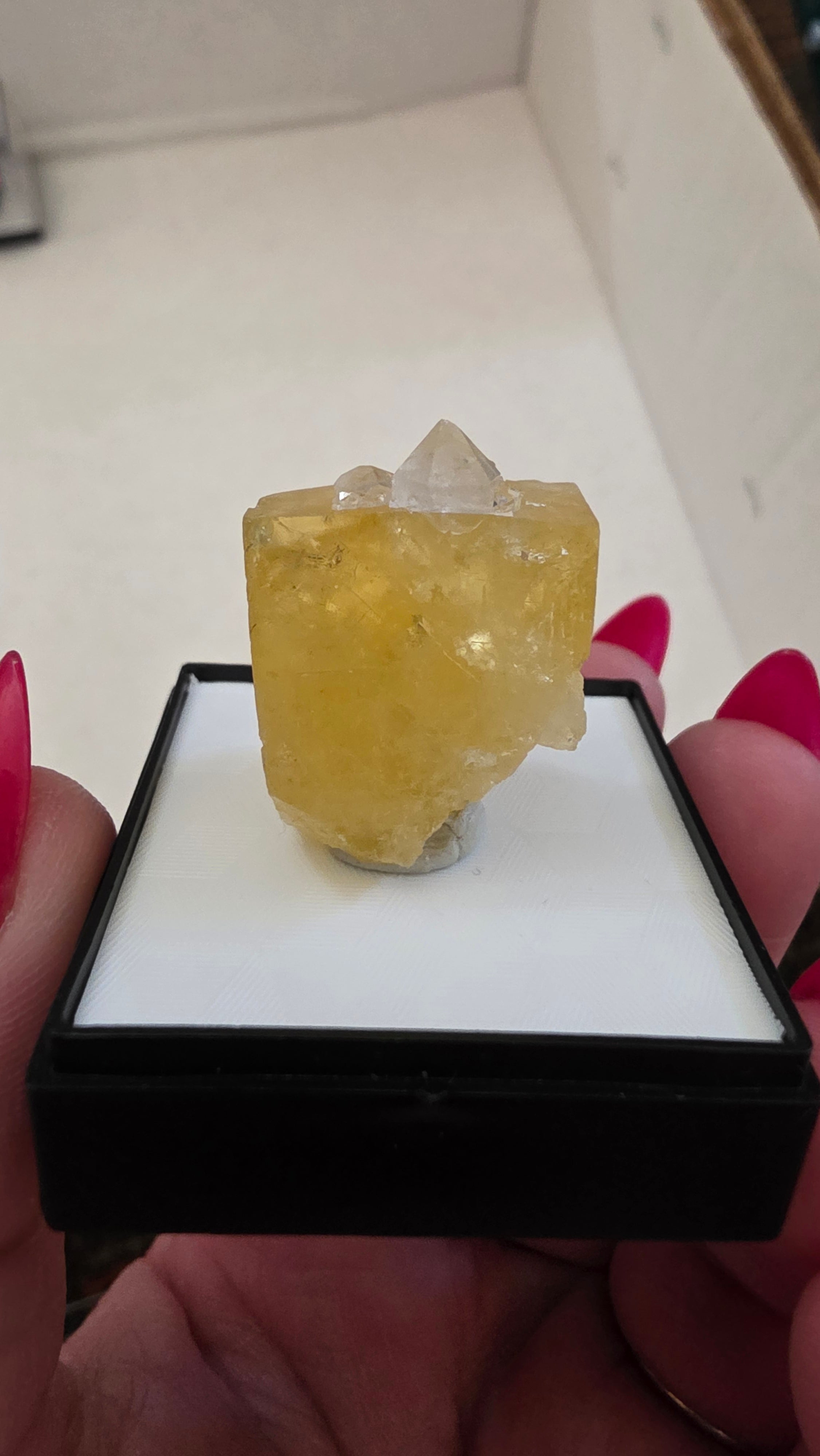 @B to the rad TT Mineral Nexus June 20