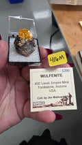 @jimmie_digs TT Mineral Nexus June 20