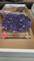 @ExBEERtz Rocky June 17