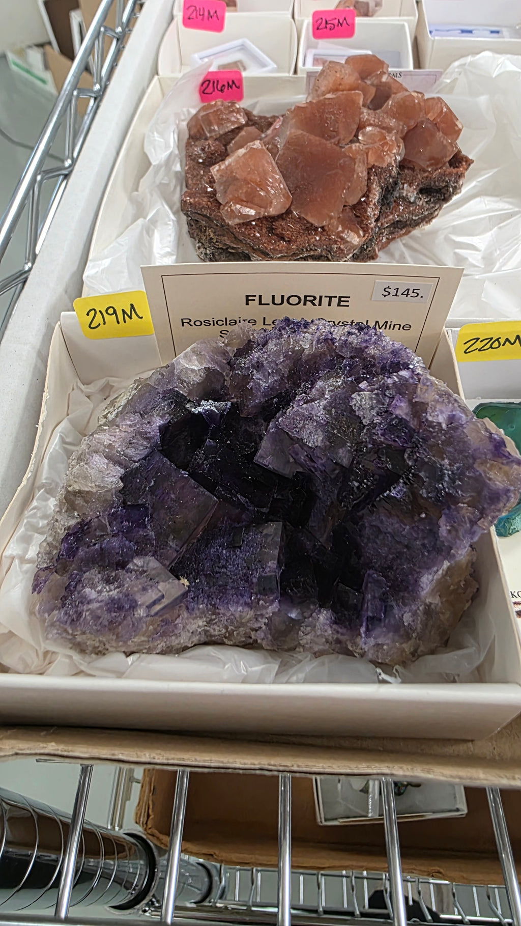 Monica Niemann Gomez Mineral Nexus June 19