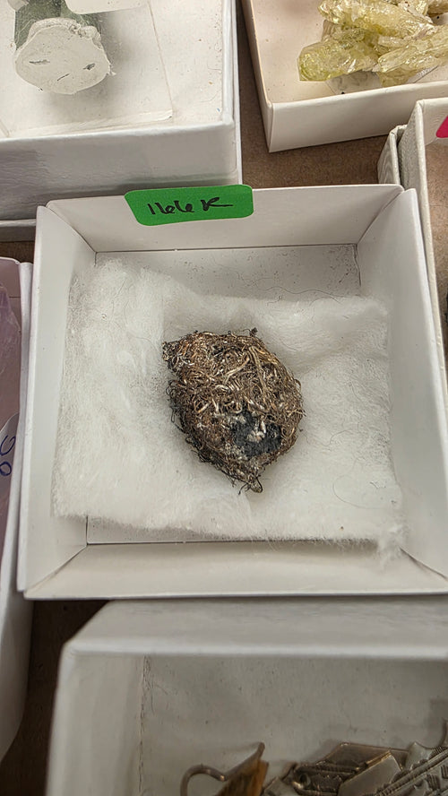 @cretaceous artifacts Rocky June 17