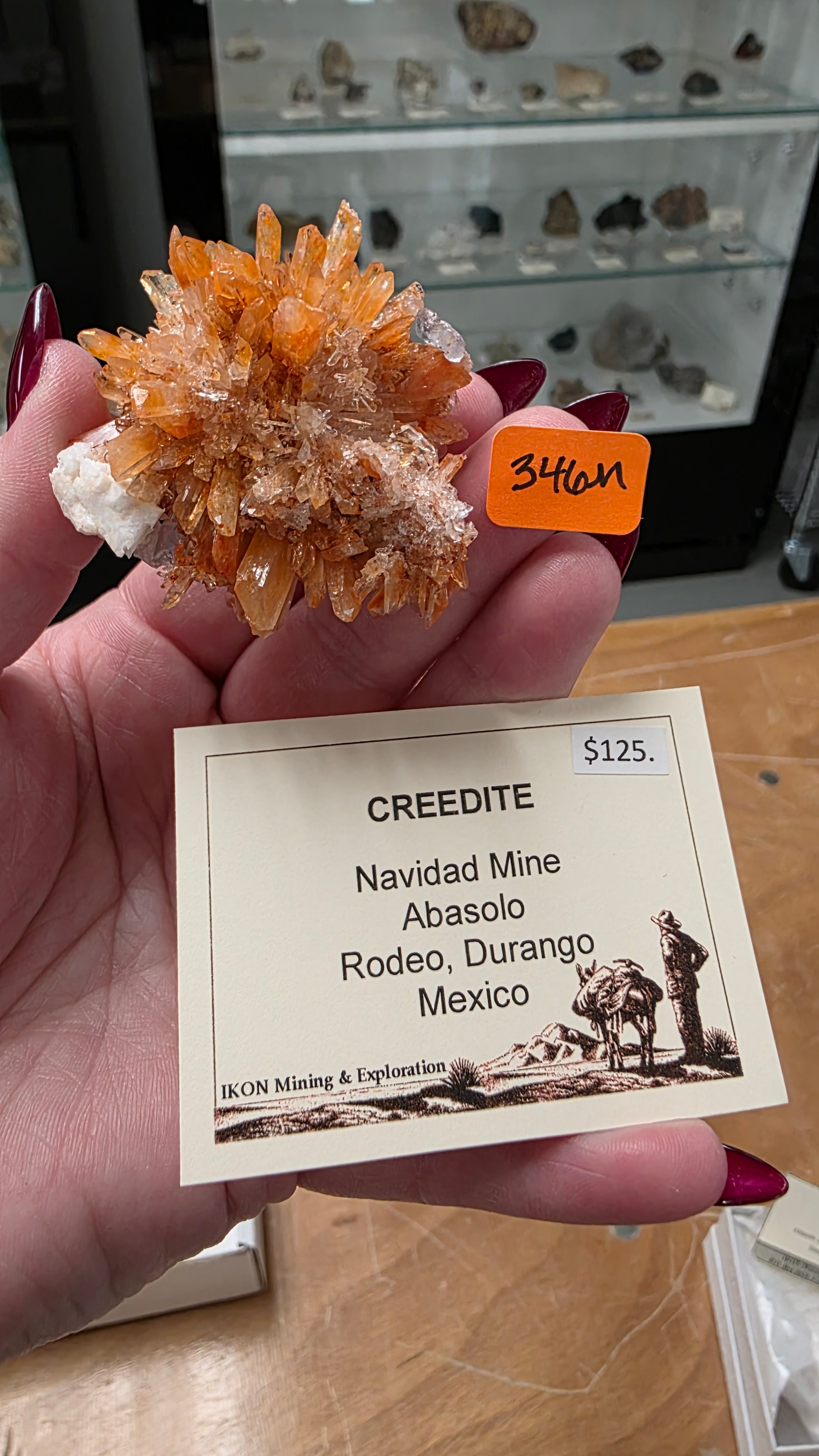 @Dana K Mineral Nexus June 20