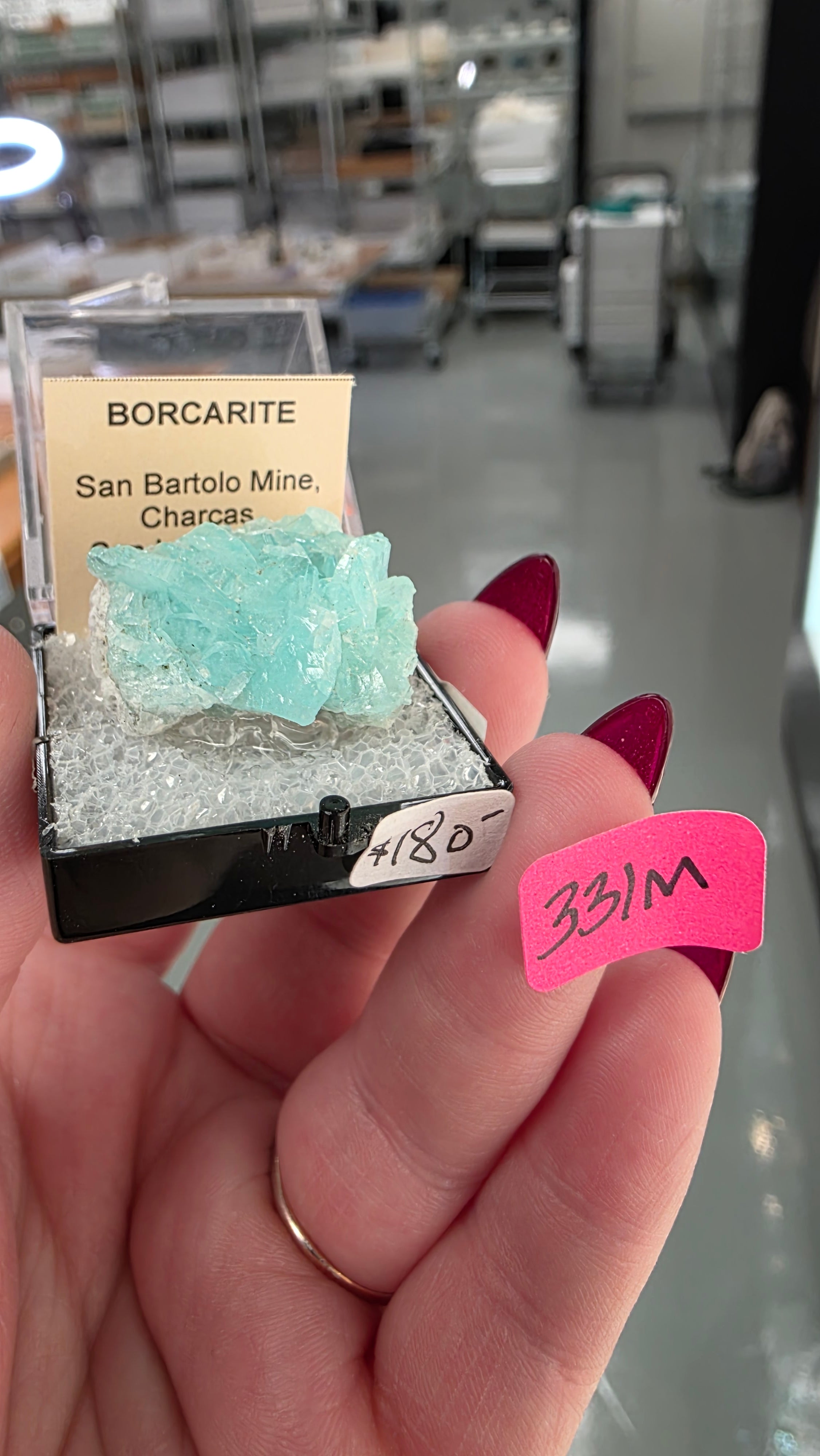 @Sanne882002 IG Mineral Nexus June 20